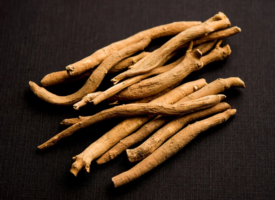 Asparagus racemosus shatavari root